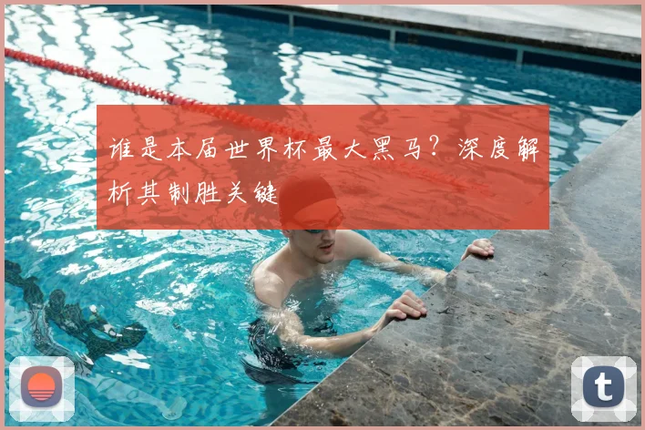 谁是本届世界杯最大黑马？深度解析其制胜关键