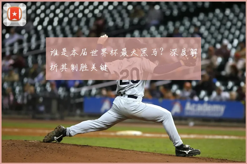 谁是本届世界杯最大黑马?深度解析其制胜关键