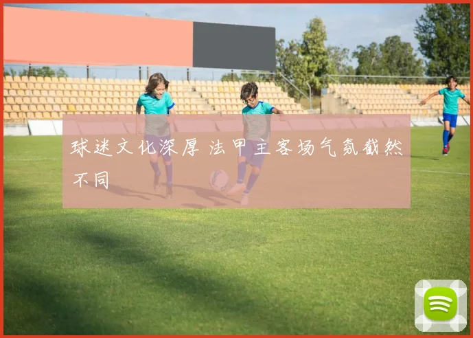 球迷文化深厚 法甲主客场气氛截然不同