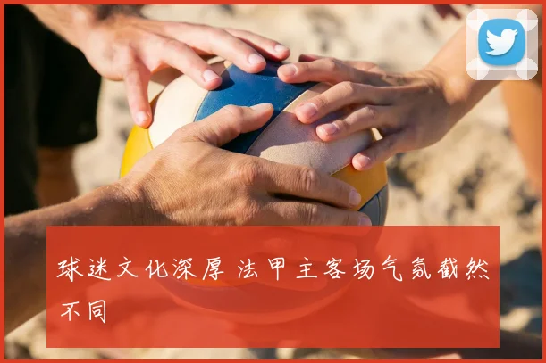 球迷文化深厚 法甲主客场气氛截然不同